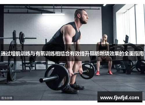 通过增肌训练与有氧训练相结合有效提升脂肪燃烧效果的全面指南